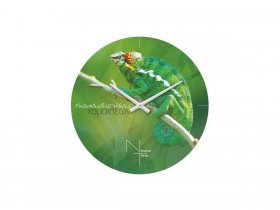Часы настенные Nicole Time NT503 в Новотырышкино - novotyryshkino.mebel-nsk.ru | фото