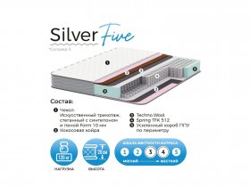 Матрас Silver Five в Новотырышкино - novotyryshkino.mebel-nsk.ru | фото