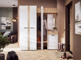 Модульная прихожая Санса (дуб сонома/белый) в Новотырышкино - novotyryshkino.mebel-nsk.ru | фото